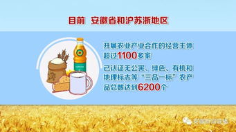 借力长三角一体化，安徽乡村产业迈出“趣”步